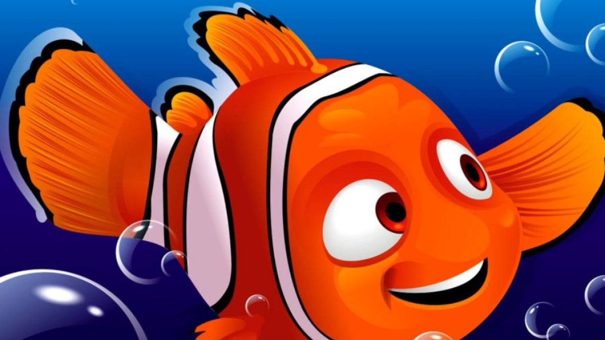 Kayıp Balık Nemo- Bölünebilme Kuralları
